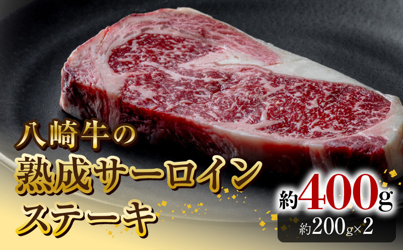 
            八崎牛の熟成サーロインステーキ200g×2枚 N0105-YB822
          