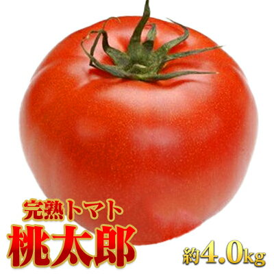 【ふるさと納税】【JA職員厳選】【完熟！】平林トマト 約4.0kg トマト 大容量 産地直送 桃太郎 ももたろう