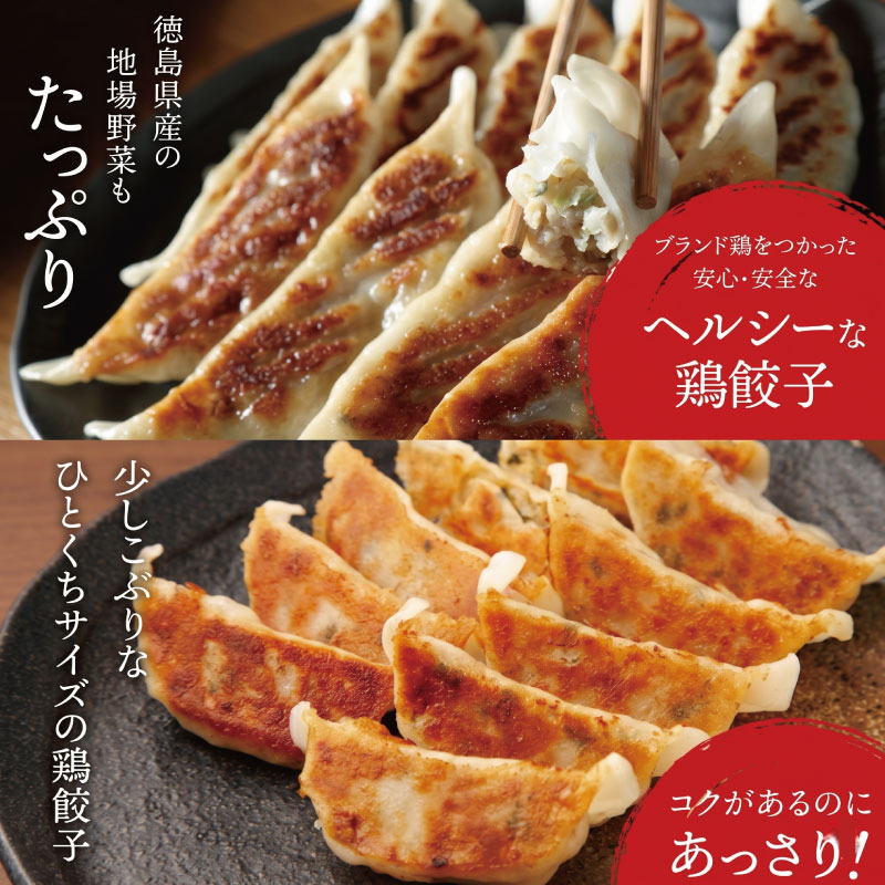 餃子 阿波尾鶏 48個 ぎょうざ ギョーザ 鶏肉 焼き餃子 野菜 餡 キャベツ 白菜 弁当 中華 冷凍 冷凍餃子 お酒 ビール 居酒屋 徳島県 阿波の頂