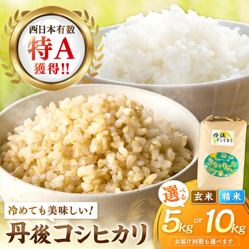 【ふるさと納税】発送月が選べる・R7年度米・西日本で有数の特A獲得地域／高評価★4.78 直売所直送「令和7年産　京丹後市産　コシヒカリ」 玄米 精米 5kg 10kg 1回 3回 6回 選べる 配送月 回数 定期便 こめ ふるさと納税 コシヒカリ 玄米 米 精米 白米 2025 年 京都産