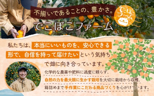 柑橘の庭 マーマレード 2種セット