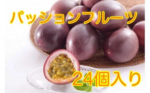 【A68002】《期間限定》鹿児島県産 丸山果樹園のパッションフルーツ (約2.2kg・12玉入り2箱) 
