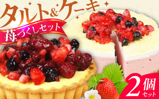 ケーキ・タルトセット（苺のムースケーキ・ベリーベリータルト） すいーつ いちご イチゴ 苺ケーキ たると スイーツ デザート ベリー 洋菓子 スポンジ 冷凍 クリスマス パーティ 広川町 / イートウェル株式会社 [AFAK152]