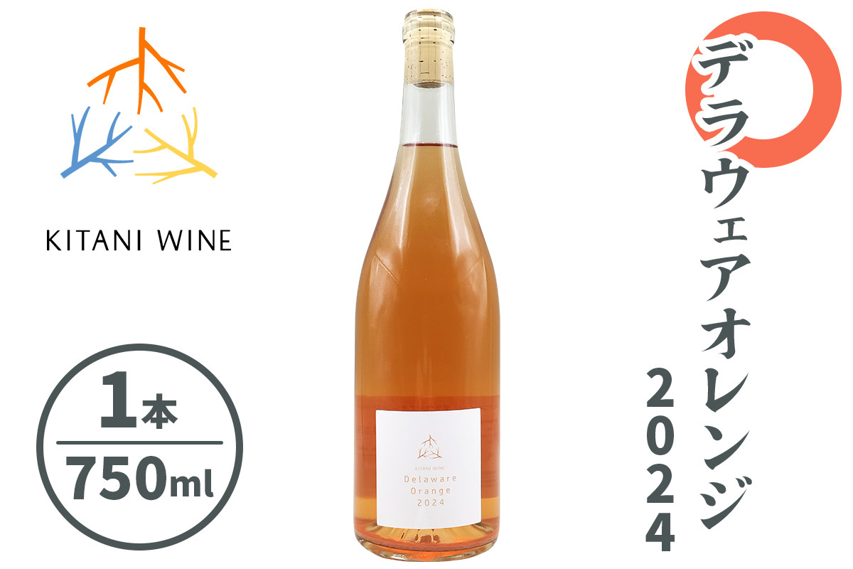 
            デラウェアオレンジ 2024 (750ml×1本)｜ワイン 果実酒 奈良 香芝 [3002]
          