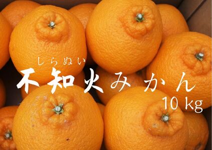 【先行予約_2025年2月上旬から配送】湯の花　不知火10kg箱セット　　　不知火 柑橘 みかん 果物 不知火 柑橘 みかん 果物 不知火 柑橘 みかん 果物 不知火 柑橘 みかん 果物 不知火 柑橘 みかん 果物 不知火 柑橘 みかん 果物 不知火 柑橘 みかん 果物 不知火 柑橘 みかん 果物 不知火 柑橘 みかん 果物 不知火 柑橘 みかん 果物 不知火 柑橘 みかん 果物 不知火 柑橘 みかん 果物 不知火 柑橘 みかん 果物 不知火 柑橘 みかん 果物 不知火 柑橘 みかん 果物 不知火 柑橘 み