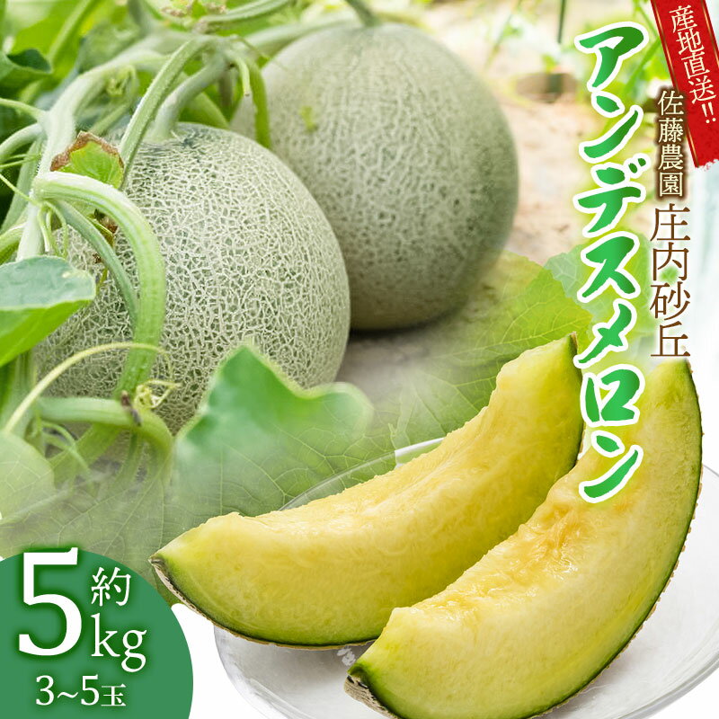 【ふるさと納税】【令和8年産先行予約】 産地直送!! 庄内砂丘アンデスメロン 約5kg (3玉〜5玉) K-835 | 山形県 鶴岡市返礼品 フルーツ 果物 くだもの お取り寄せグルメ 青肉 めろん 特産品 名産品 2026年