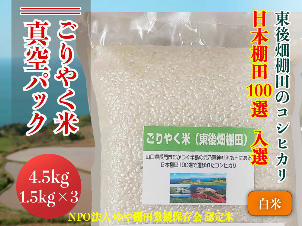 
            米 お米 新米真空パック 白米 精米 こしひかり コシヒカリ 真空 小分け ごりやく米 白米4.5㎏ (白米真空パック1.5㎏×3個) 棚田米 長門市 
          