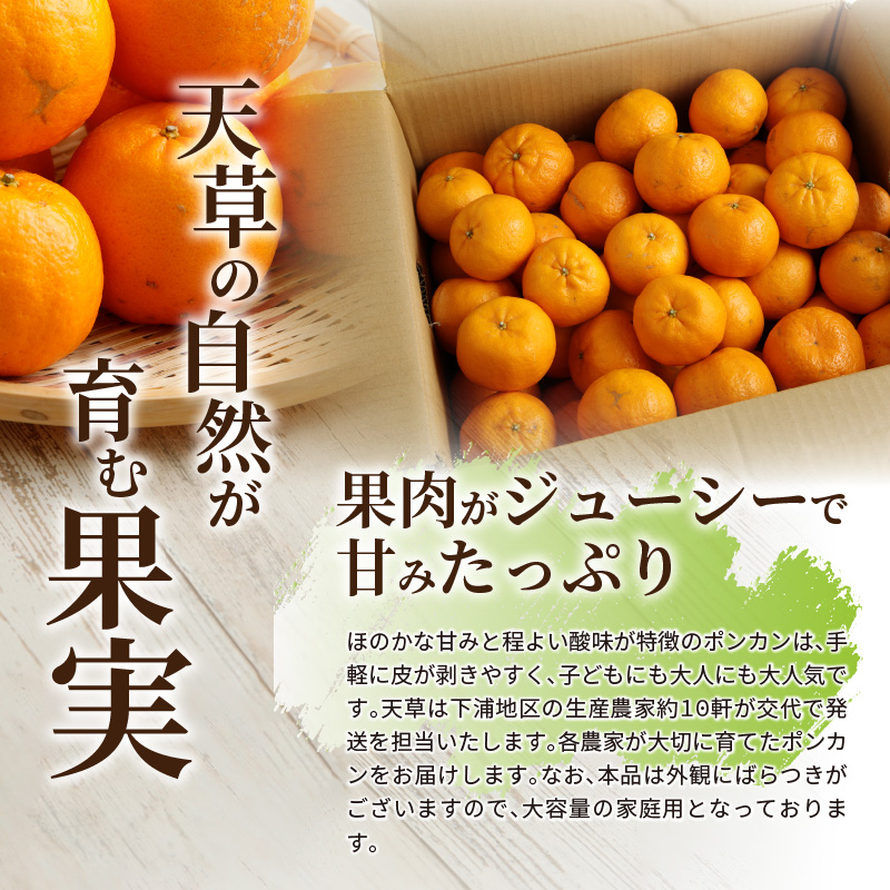 S040-009_農家の手摘み100年ポンカン 約7.5kg 家庭用〈先行受付〉