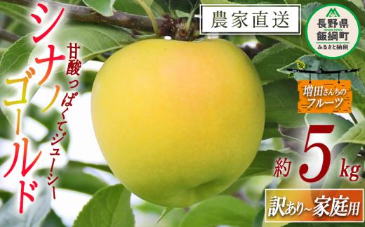 りんご シナノゴールド 訳あり 5kg 増田ファーム 沖縄県への配送不可 2024年11月上旬頃から2024年12月上旬頃まで順次発送予定 令和6年度収穫分 信州 果物 フルーツ リンゴ 林檎 長野 予約 農家直送 長野県 飯綱町 [1498]