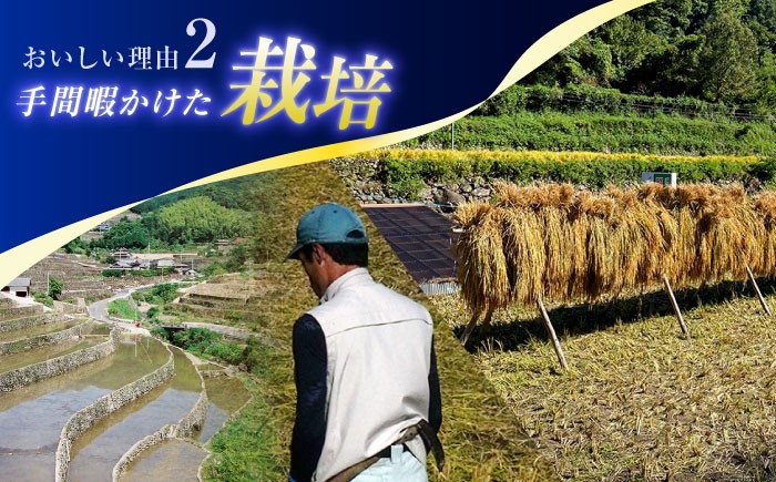 さらに美味しいお米にするために、毎日土壌の確認や整備は怠れません。