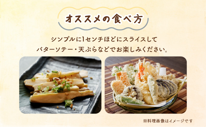 珍しいきのこ　王リンギ5パック AT18