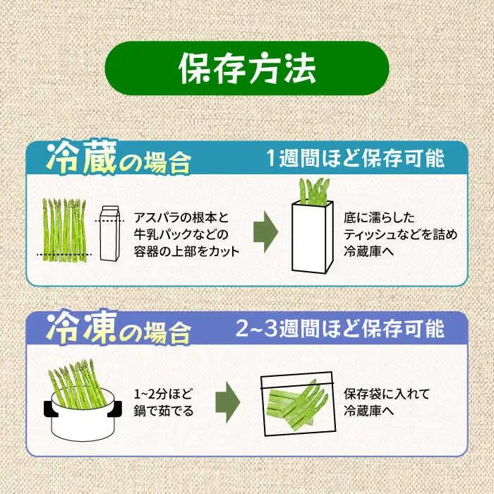 【先行予約・訳あり】モーモーアスパラ 夏芽 M / L / 2L セット 1.2kg（6月上旬から順次発送） アスパラガス[ARAI034]