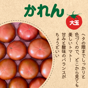 トマト ミニトマト 4kg 3種 食べ比べ セット 冷蔵 詰め合わせ 千果 シンディスイート かれん 野菜 完熟 糖度 果物 スイーツ ジュース パスタ スパゲティー ソース サラダ ドレッシング 鍋