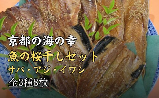 
桜干 セット 魚 干物 サバ あじ いわし 鯖 鯵 鰯 魚介 おつまみ おかず 冷蔵 やまいち 人気 宮津 丹後 京都
