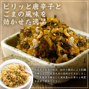 辛子 たかな (計1.5kg・150g×10袋) お漬物 高菜 常温【曽於市観光協会】A744