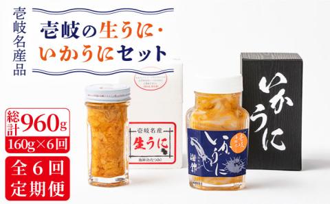 【全6回定期便】生うに60g いかうにセット [JEH009] 138000 138000円