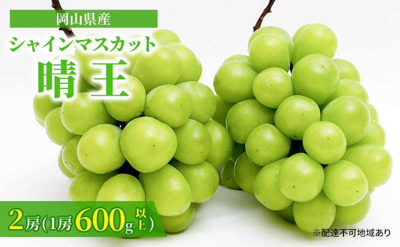 ぶどう 2025年 先行予約 シャイン マスカット 晴王 2房 （1房 600g以上） 化粧箱入り マスカット ブドウ 葡萄  岡山県産 国産 フルーツ 果物 ギフト