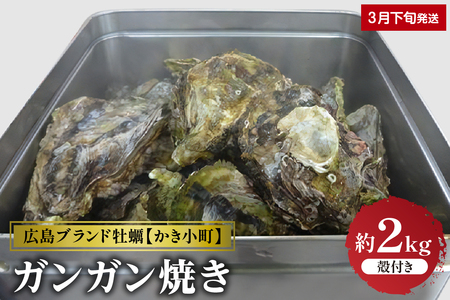 【2025年3月下旬発送】丸十水産 広島ブランド牡蠣 かき小町 ガンガン焼き 約2kg (10～14個) 冷蔵便 国産 生牡蠣 広島県産 音戸産 牡蠣 カキ 旨味 濃厚 新鮮 美味しい バーベキュー キャンプ 秋 旬 広島県 呉市