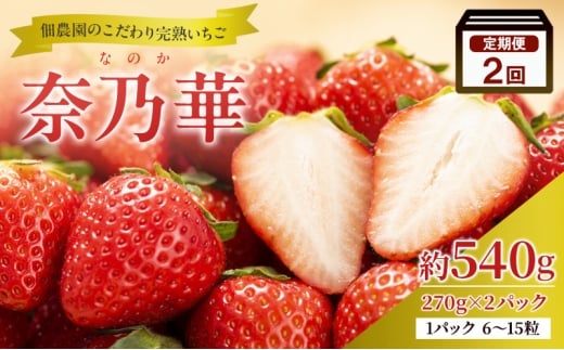 【2回定期便】いちご 完熟 奈乃華 約540g 奈良 ブランド イチゴ フルーツ [№5990-0946]