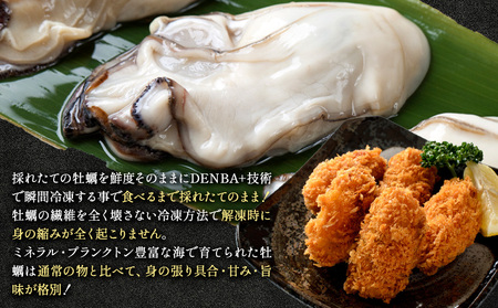 牡蠣 生食 用 かき Emperor Oyster 生食用 12粒 Sサイズ 木箱入り 勇和水産《45日以内に出荷予定(土日祝除く)》岡山県 笠岡市 送料無料 北木島産 かき カキ 牡蠣 生牡蠣 冷凍