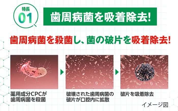 【歯周病と口臭を予防】毎日のケアでお口の健康をサポート