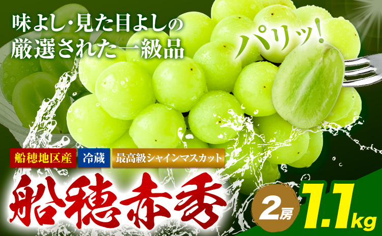 【2026年先行予約受付】最高級 シャインマスカット ぶどう 船穂赤秀 2房 1.2kg《2026年9月上旬-10月末頃出荷(土日祝除く)》ハレノフルーツ マスカット 送料無料 岡山県 浅口市 フルーツ 果物 贈り物 ギフト 国産 岡山県産【配送不可地域あり】（北海道・沖縄・離島）---124_c1966_9a10m_25_38500_1200g---