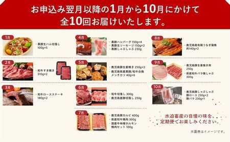 【全10回】鹿児島自慢の豚・牛・うなぎ!10回満足定期便 027-40