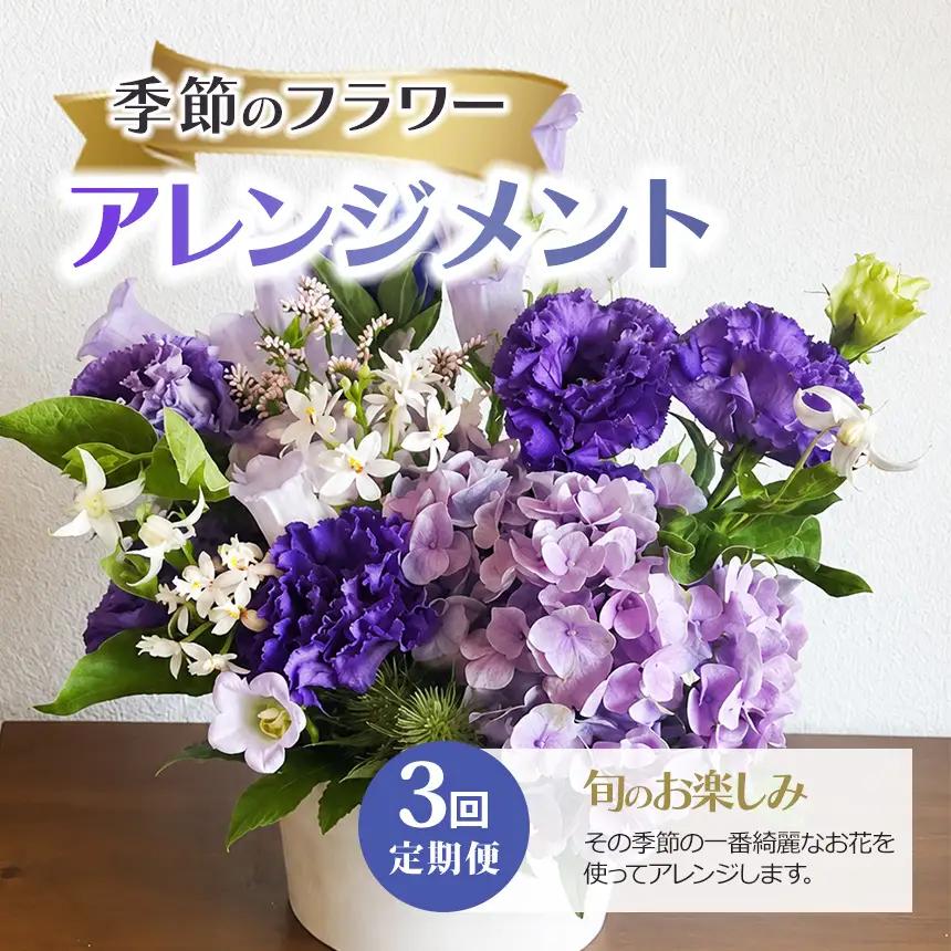 ３回定期便 季節のフラワーアレンジメント 