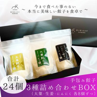 ふるさと納税 草津市 手包み餃子3種詰め合わせBOX　合計24個