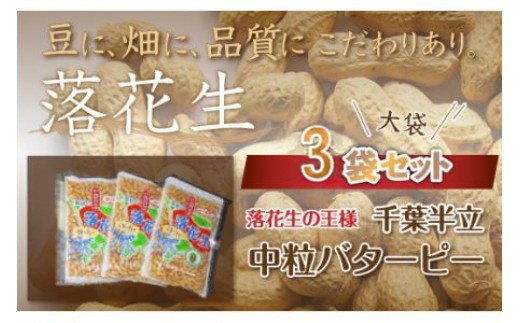 千葉県 大網白里市産 落花生中粒バターピー大袋3袋セット I006