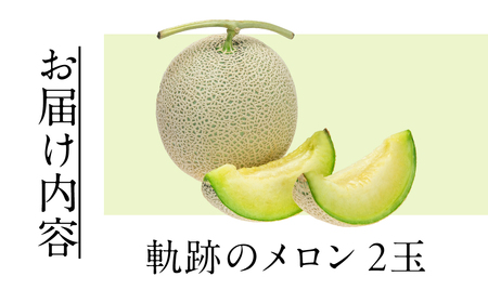 藤原農園　アールスメロン　２玉