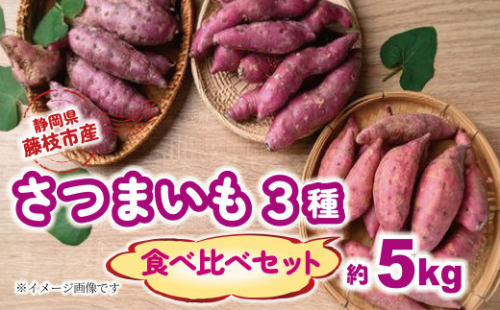 【2025年11月～順次発送予定】 さつまいも 3種 食べ比べセット 約5kg 紅はるか シルクスイート 安納芋 芋 期間限定 サツマイモ  化学肥料 農薬 不使用 焼き芋 旬 季節限定 期間限定  静岡県 藤枝市