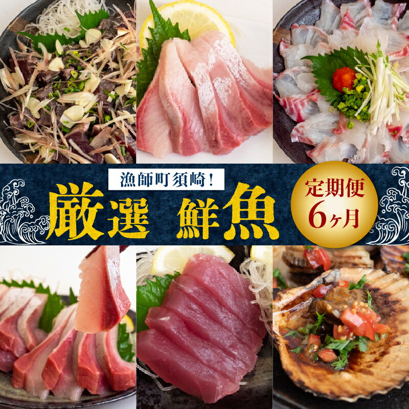【ふるさと納税】 魚 刺身 定期便 6ヶ月定期便 刺身刺身 半年定期便 6回 イセエビ 毎月 国産 鮮魚 伊勢海老 ブリ かつお たたき キハダ マグロ タイ シマアジ ヒラメ 貝 セット 魚 冷凍 冷蔵 イセエビ 鰤 鯛 鮪 鰹 藁焼き 海鮮 刺し身 お鍋 大晦日 年末 正月 高知県 須崎市