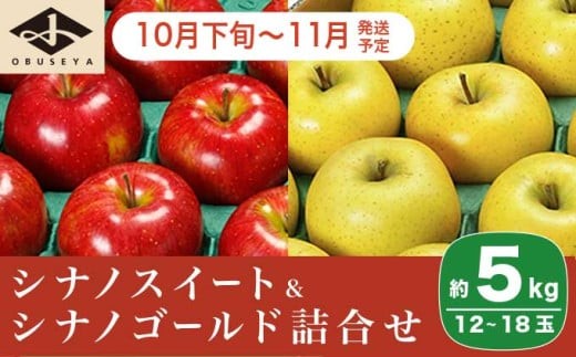 長野県りんごの味比べ 約5kg 12～18玉 シナノスイート シナノゴールド ［小布施屋］ りんご 林檎 リンゴ  果物 フルーツ 令和8年産【2026年10月下旬～11月発送】 ［A-501］