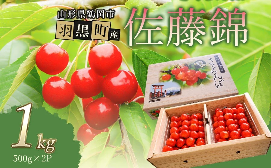 【令和7年産先行予約】佐藤錦 2L～Lサイズ混合 バラ詰め 1kg　小林農園 さくらん坊