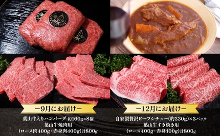 牛肉 四季のプレミアム 定期便 4回 葉山牛 黒毛和牛 セット しゃぶしゃぶ ロース ビーフシチュー サーロイン ヒレステーキ ハンバーグ 焼肉 赤身 すき焼き