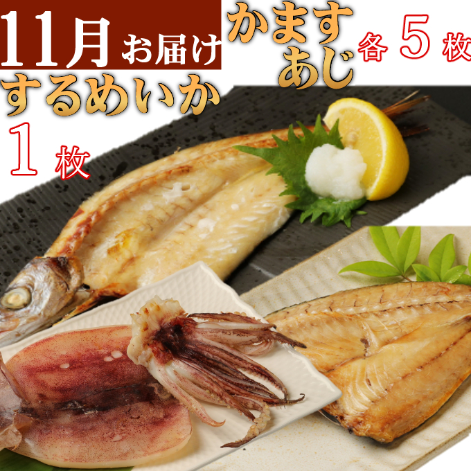 室戸流藁焼きタタキと地魚干物定期便A（年６回・奇数月お届け）_イメージ5