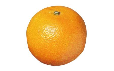 2025年 屋久島産たんかん 家庭用 訳あり 約5kg(S～2Lサイズ・少々キズあり)＜先行予約／数量限定＞【 たんかん】