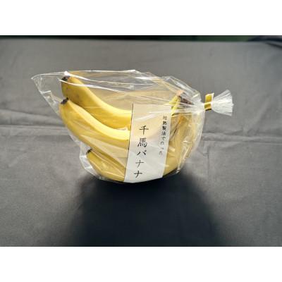 ふるさと納税 城陽市 超熟成法仕立て 千馬バナナ 1房 4〜5本入り |  | 03