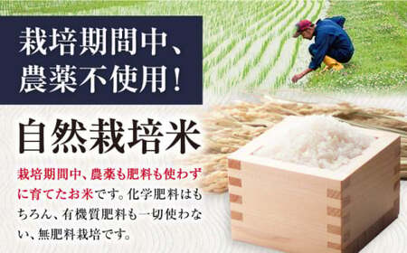 【令和6年度産】【全6回定期便】自然栽培米滋賀旭 　2kg玄米×6回　滋賀県長浜市/株式会社お米の家倉[AQCP045]