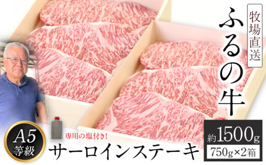 ふるの牛（黒毛和牛）特選サーロインステーキ 1500g 1箱(250g×3枚)×2箱 ゲランド塩付き A5《30日以内に出荷予定(土日祝除く)》