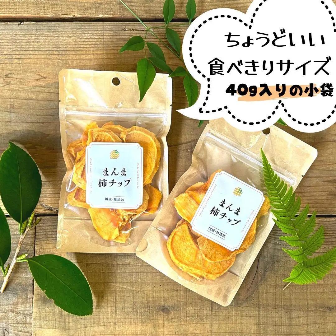 ドライフルーツ 柿チップ 400g ( 40g × 10袋 ) 和歌山県産 果物使用 自社製造 【みかんの会】