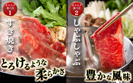 宮崎牛ローススライス(500g)≪みやこんじょ快速便≫_MJ-N401-R_(都城市) 宮崎県産宮崎牛 500g×1P 牛肉 ロース スライス すき焼き しゃぶしゃぶ
