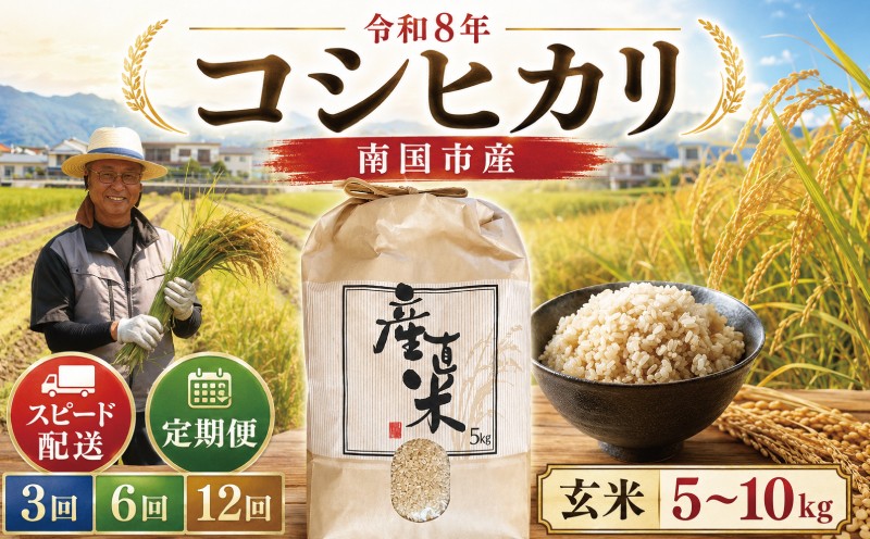 
                  【スピード配送】令和8年 南国市産 コシヒカリ 玄米 | 新米 選べる 5kg 10kg 定期便 数量限定 定期便 米 コメ お米 ご飯 おにぎり こめ キロ 弁当 南国市米 高知県 南国市
                
