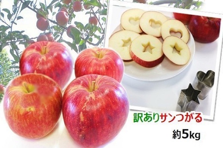 訳あり りんご 5kg  9月 サンつがる  青森【2025年 リンゴ 林檎 果物 クール便】 