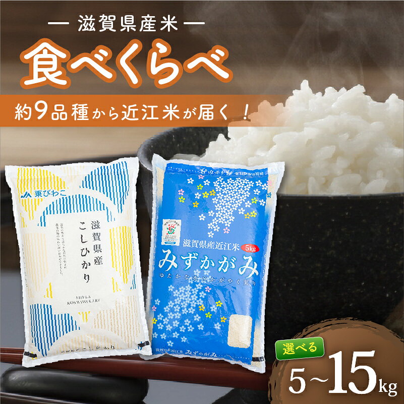 【ふるさと納税】 滋賀県産 米 5kg 10kg 15kg 近江米 食べ比べ / きぬひかり 令和8年産 令和7年産 定期便 新米 米 精米 こめ コメ お米 ご飯 5キロ 10キロ 15キロ 令和7年 令和8年 3ヶ月定期便 6ヶ月定期便 12ヶ月定期便 ふるさと納税米定期便 滋賀 彦根