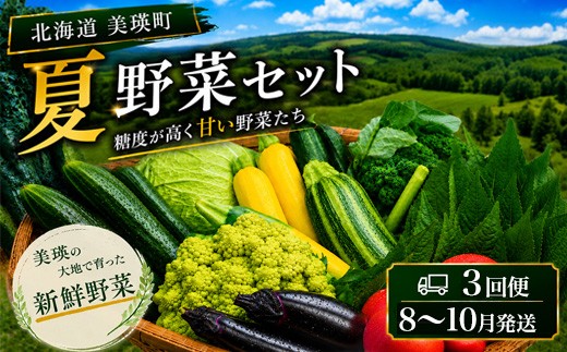 
                  【令和8年産】旬の野菜7～9種の詰め合わせセット 定期便 3回便 8月～10月発送 美景農園｜季節野菜 野菜 詰め合わせ セット 人気 おすすめ ベジタブル 料理 北海道 北海道美瑛 北海道美瑛町 美瑛町 3回 3回便 3か月 3ヵ月 [051-22]
                