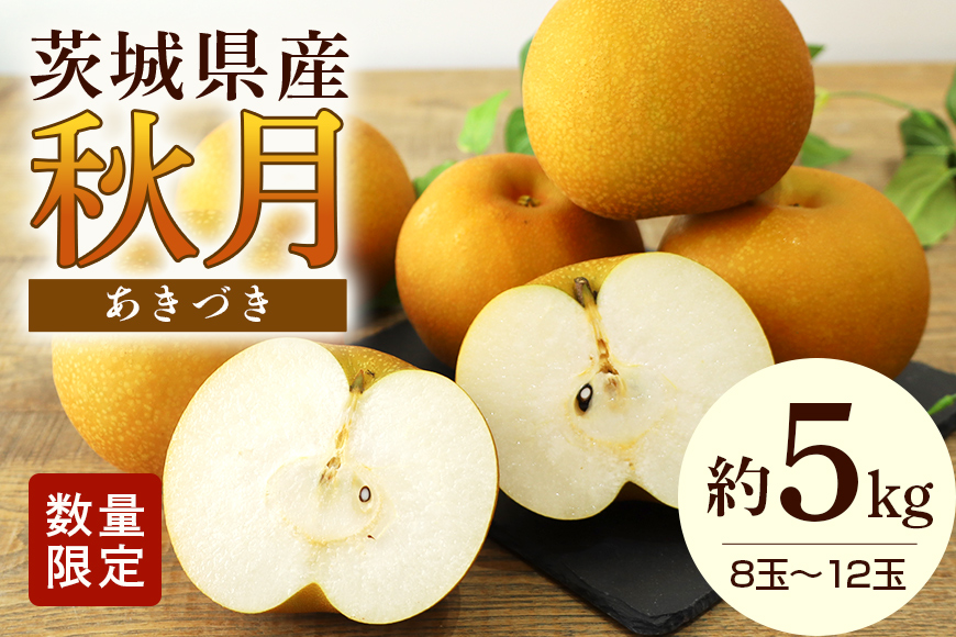 【数量限定 / 夏季限定】梨（秋月）約5kg 梨 なし ナシ 日本梨 あきづき アキヅキ 17-X 【9月上旬?中旬発送予定】