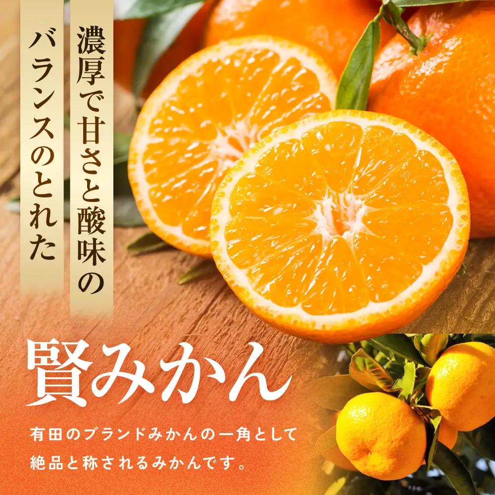 [秀品]有田のブランド「賢みかん」5kg(Mサイズ) ［2026年11月中旬頃より順次発送］