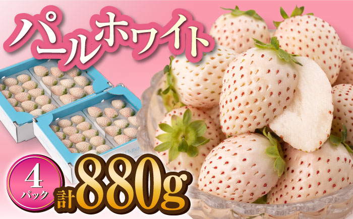 【産地直送】希少 白いちご「パールホワイト」220g×4パック [IZZ020] イチゴ